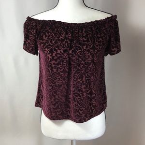 Hollister floral sheer velvet off shoulder top XS